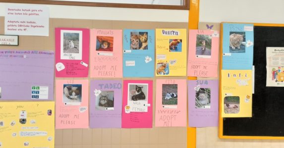 Do not buy, adopt!