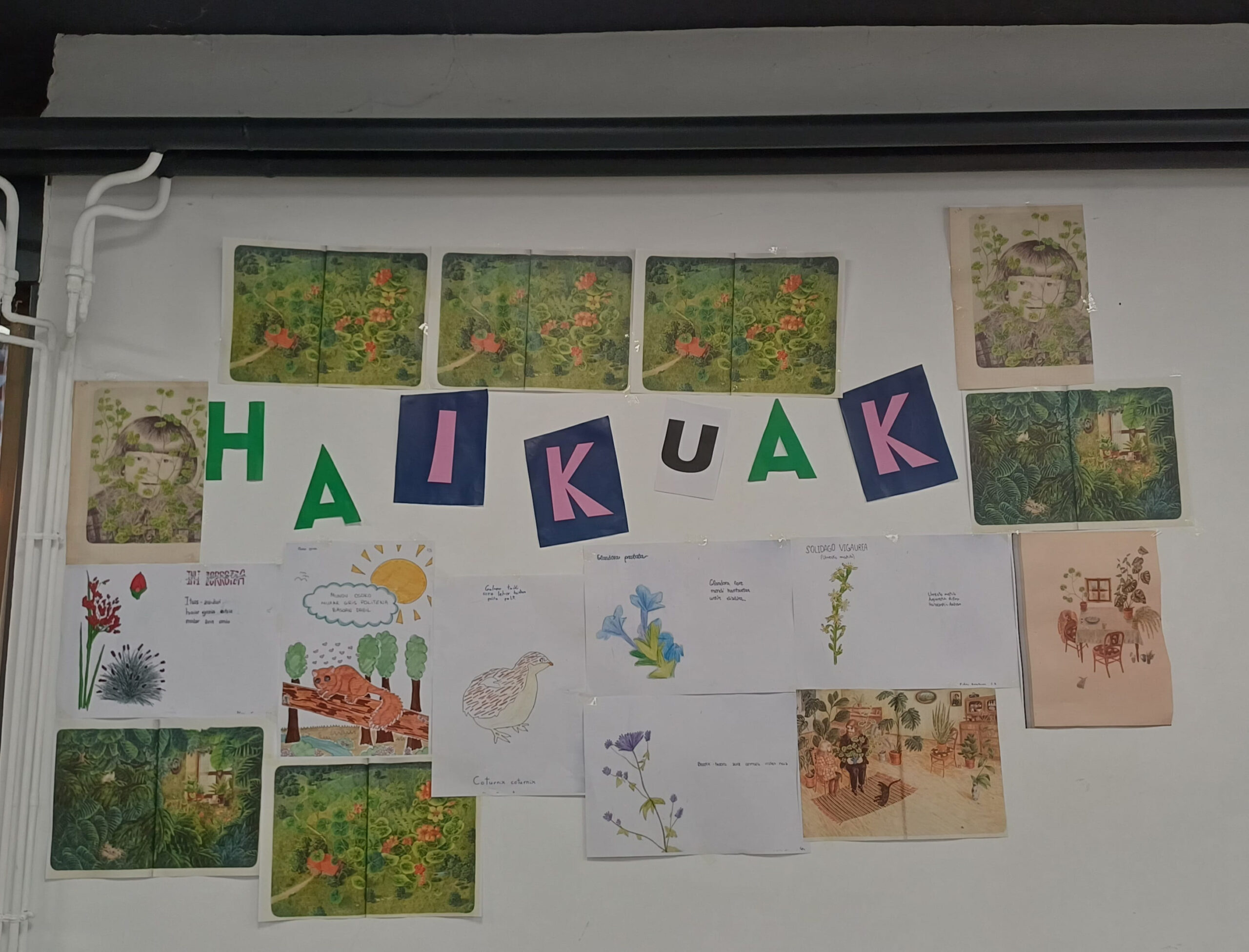LIBURUAREN ASTEA: LITERATUR LEHIAKETA 2026, HAIKUAK.